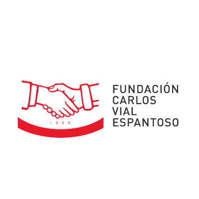 Fundación Carlos Vial Espantoso